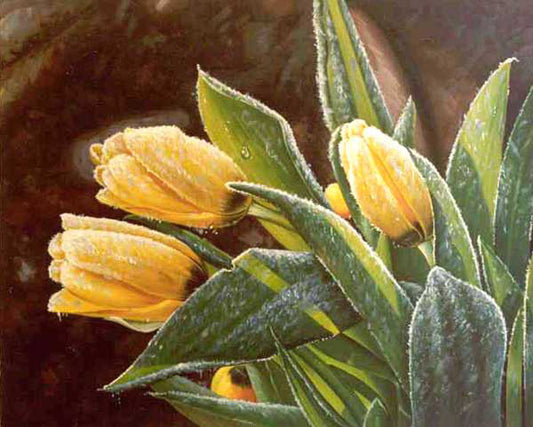 Classical Flower Paintings N292