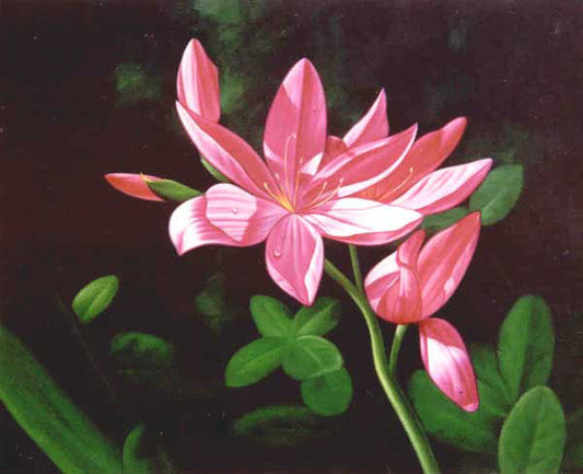 Classical Flower Paintings N293