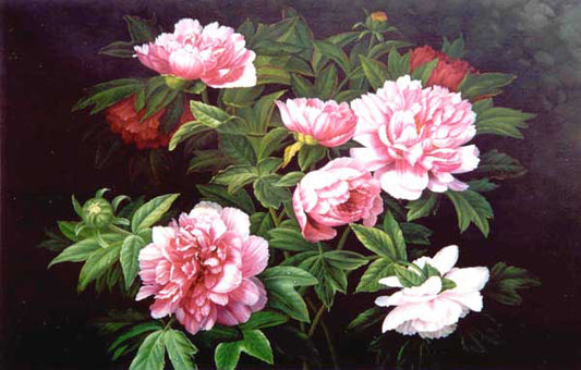 Classical Flower Paintings N295