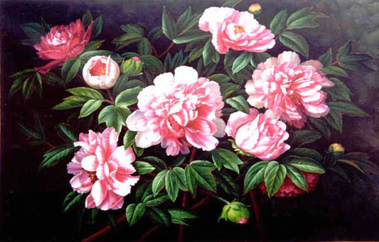 Classical Flower Paintings N296