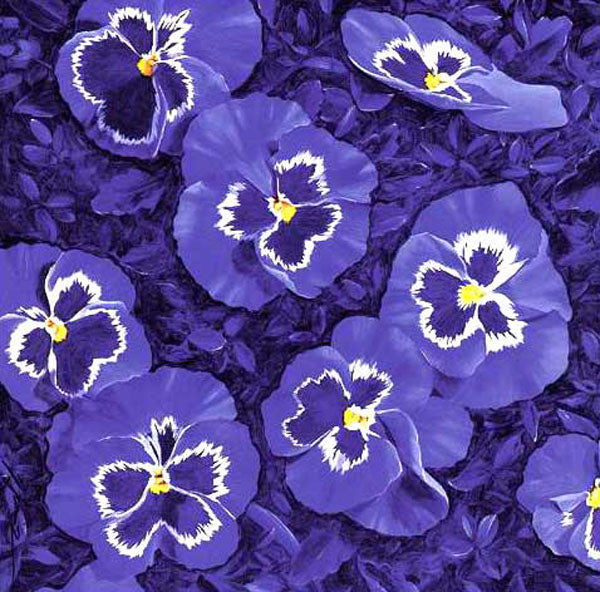 Classical Flower Paintings N316