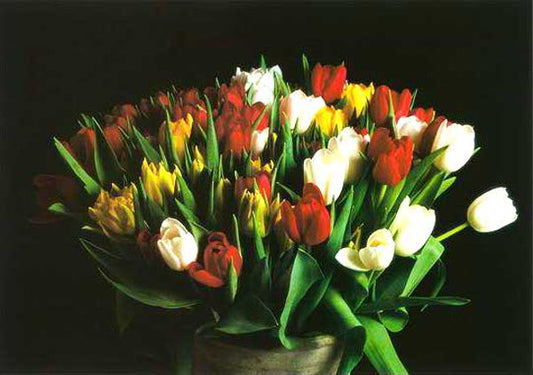 Classical Flower Paintings N322