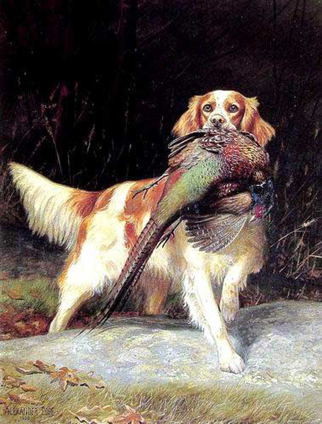 Dogs Paintings N023