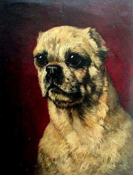 Dogs Paintings N036