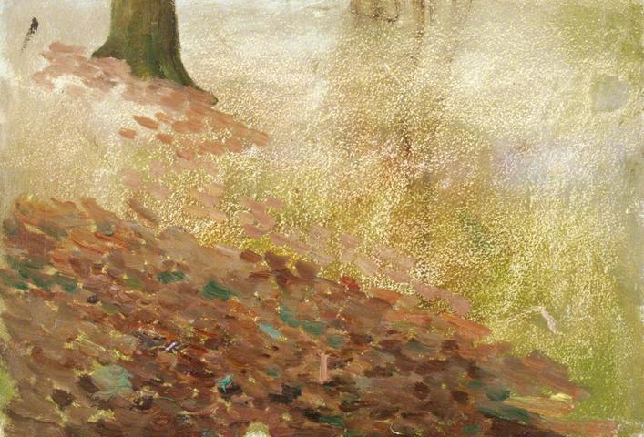 Forest Floor