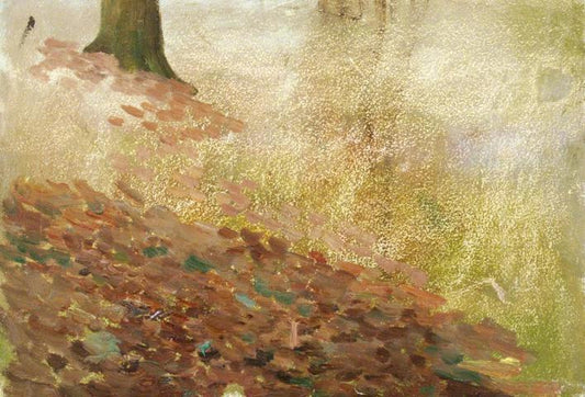 Forest Floor