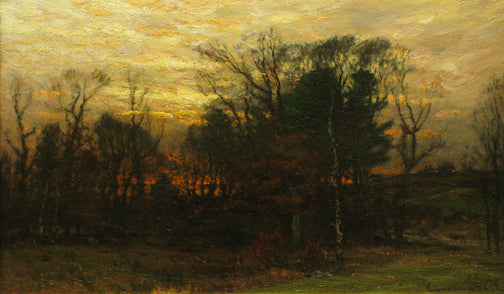 Forest at Twilight