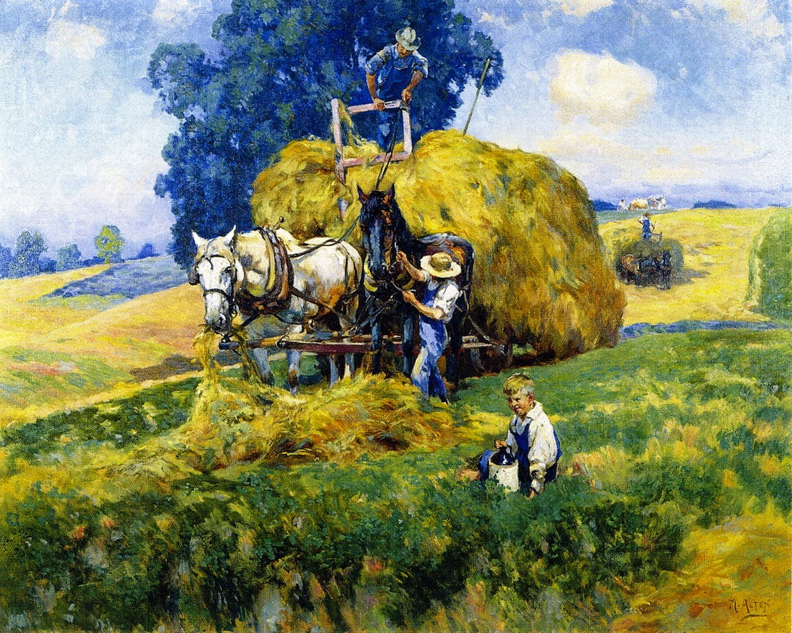 Haying Time