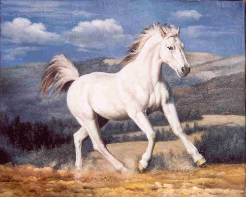 Horse Paintings N051