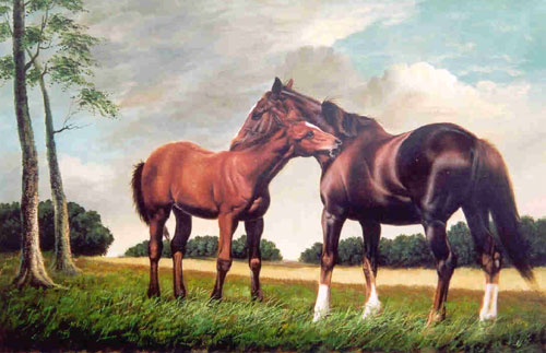 Horse Paintings N053