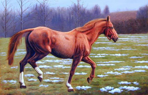 Horse Paintings N056