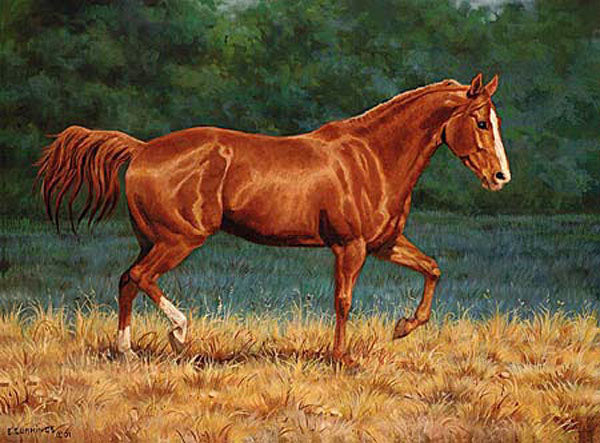 Horse Paintings N063