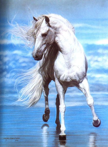 Horse Paintings N065