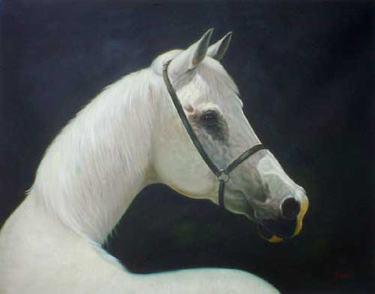 Horse Paintings N072