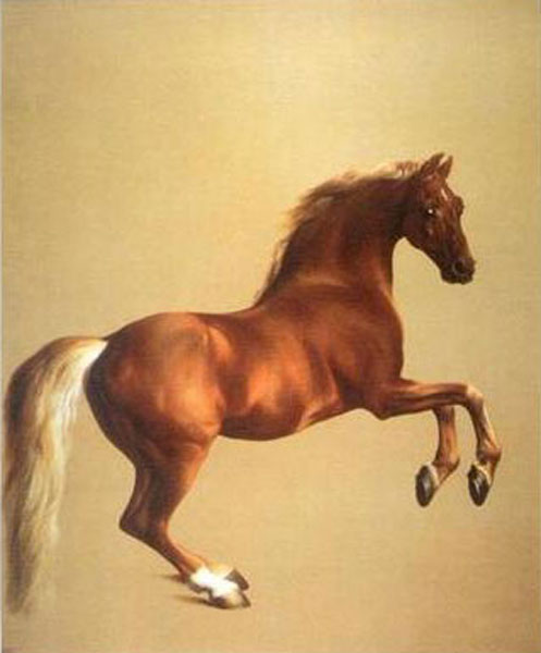 Horse Paintings N103