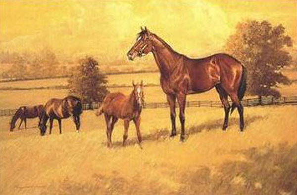 Horse Paintings N114