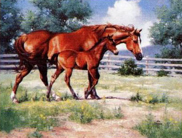 Horse Paintings N129