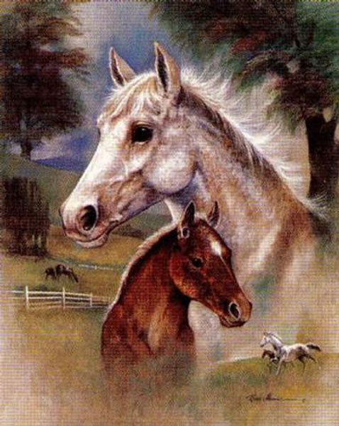 Horse Paintings N131