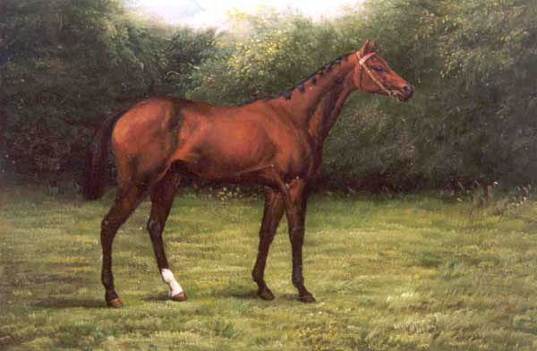 Horse Paintings N157