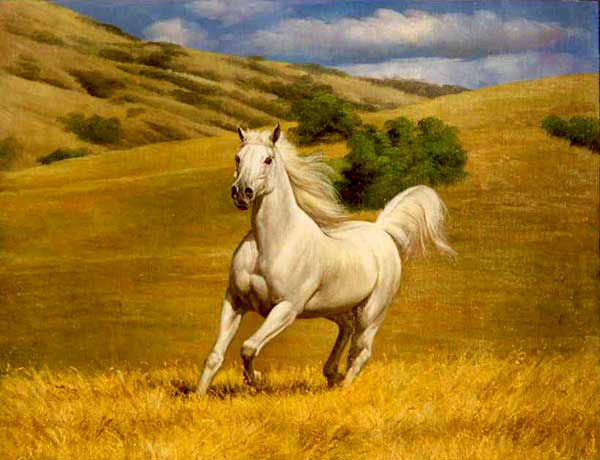 Horse Paintings N161