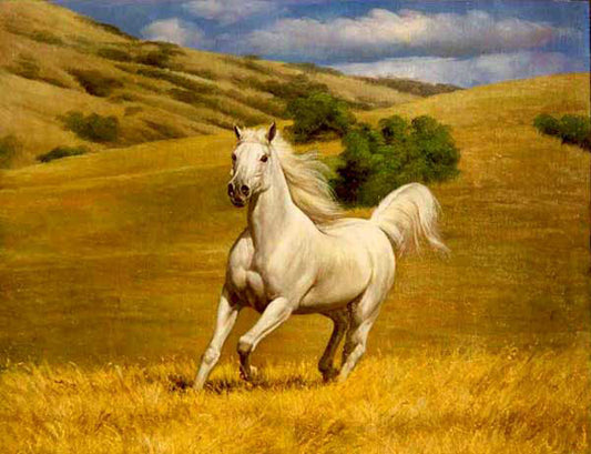 Horse Paintings N161