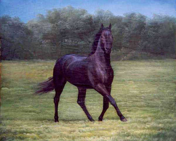 Horse Paintings N164