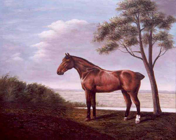 Horse Paintings N166