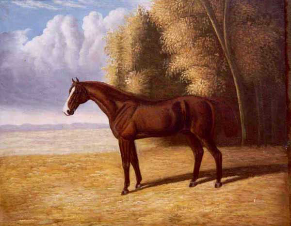 Horse Paintings N167