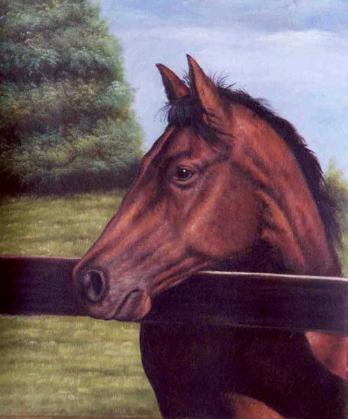 Horse Paintings N174