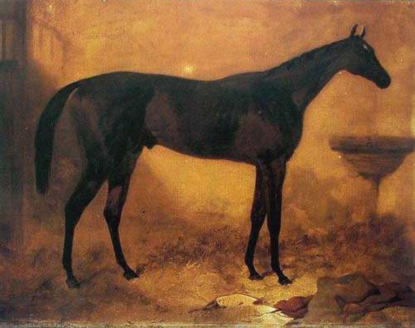 Horse Paintings N196