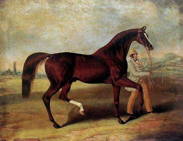 Horse Paintings N197