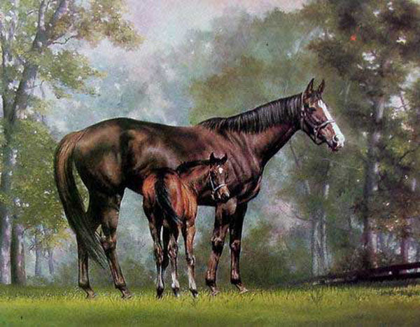 Horse Paintings N199