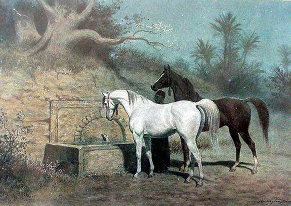 Horse Paintings N200