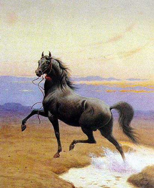 Horse Paintings N205