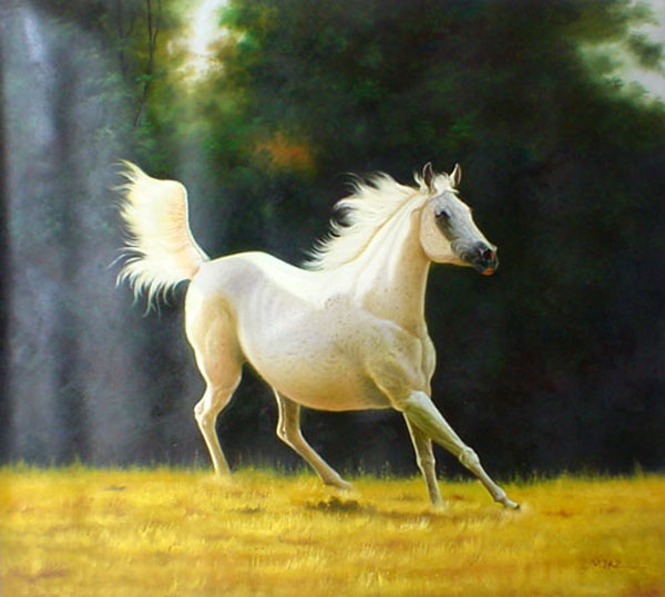Horse Paintings N209