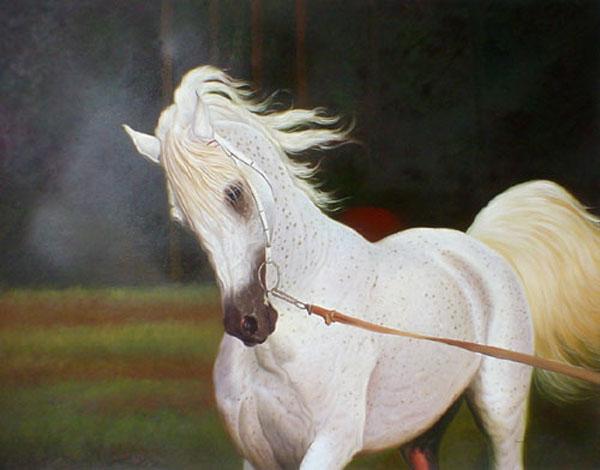 Horse Paintings N212