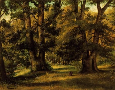 Hundred Acre Wood