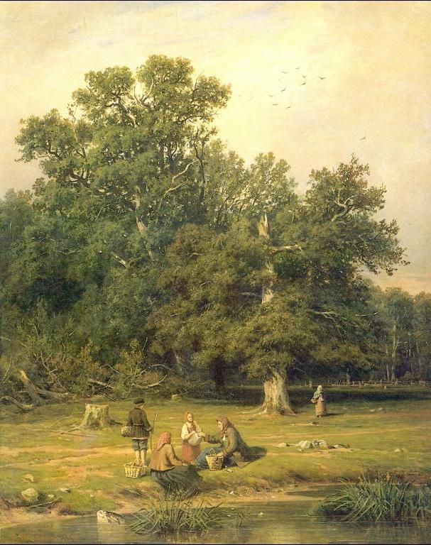 Hunting for Mushrooms