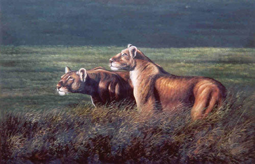 Lion Paintings N003