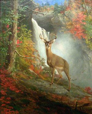 Majestic Stag