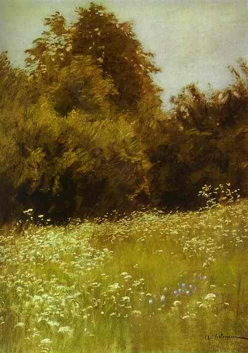 Meadow On The Edge Of A Forest