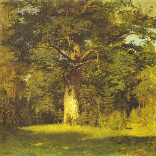 Oak