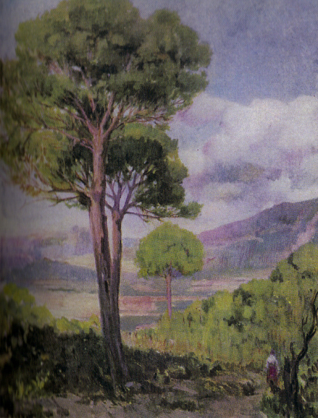 Paisaje con arbol
