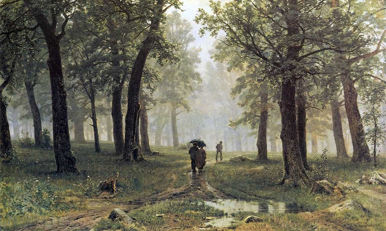 Rain in an Oak Forest