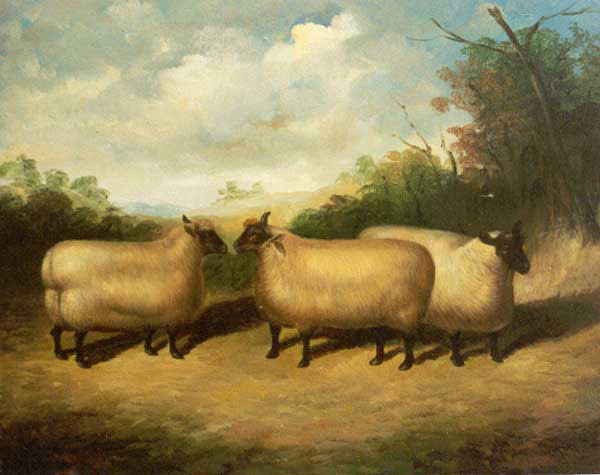 Sheep Paintings N002