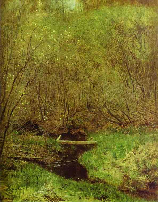 Spring In The Forest