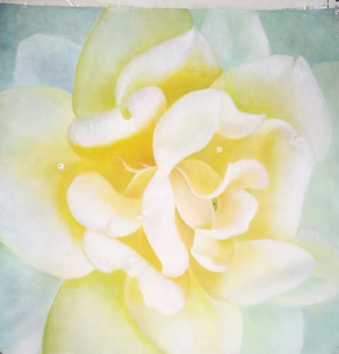 Stock Paintings N229