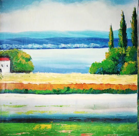 Stock Paintings N235