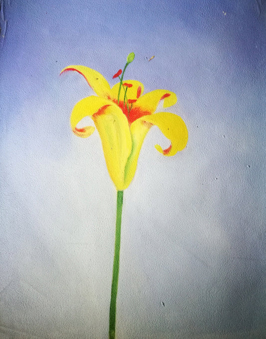 Stock Paintings N67