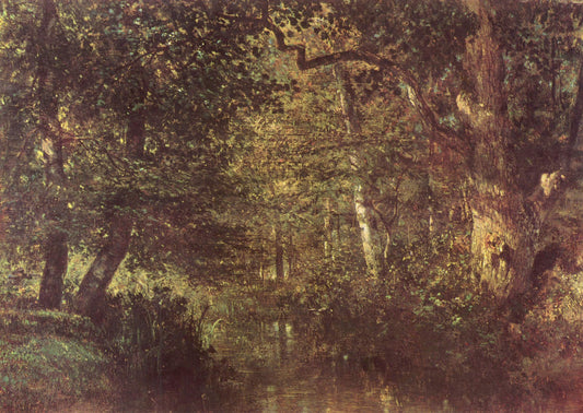 Stream in the Forest